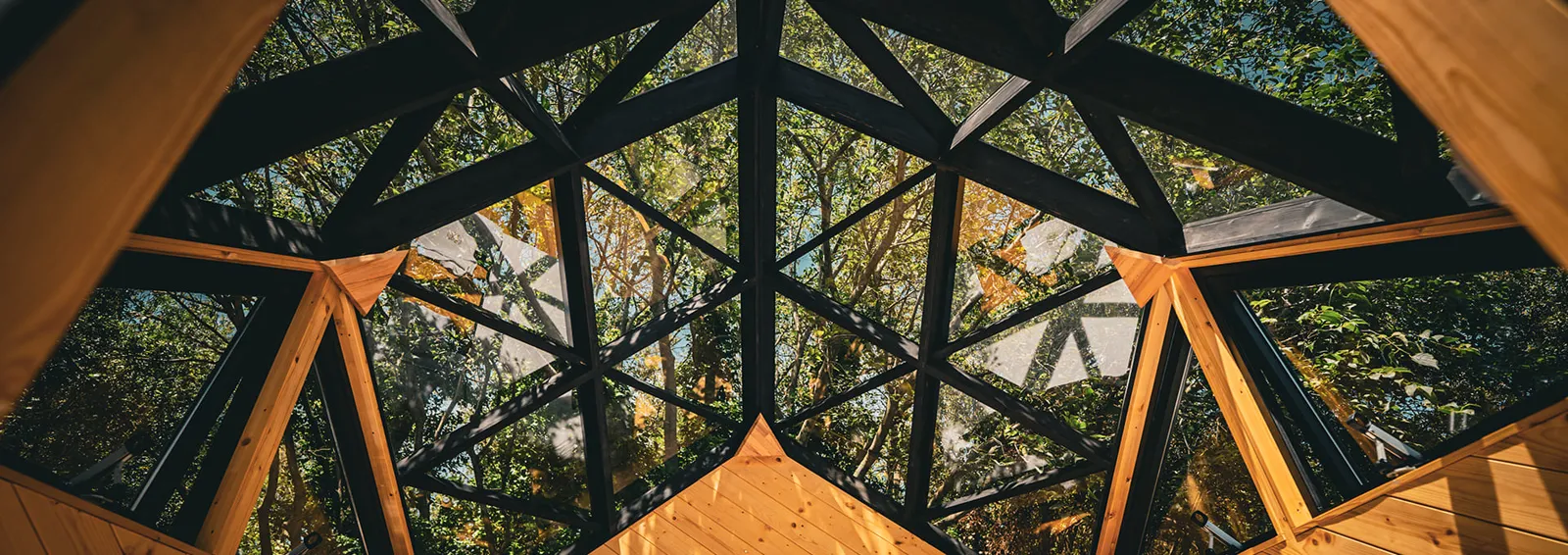 Intérieur d'un zome Evozome — verrière polyédrique ouverte sur la canopée