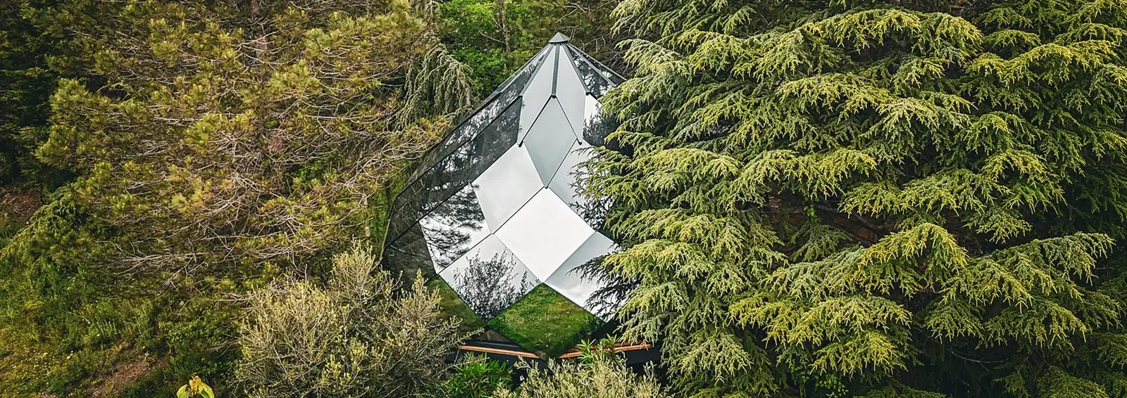 Vue aérienne d'un zome Diamond Evozome niché dans la forêt