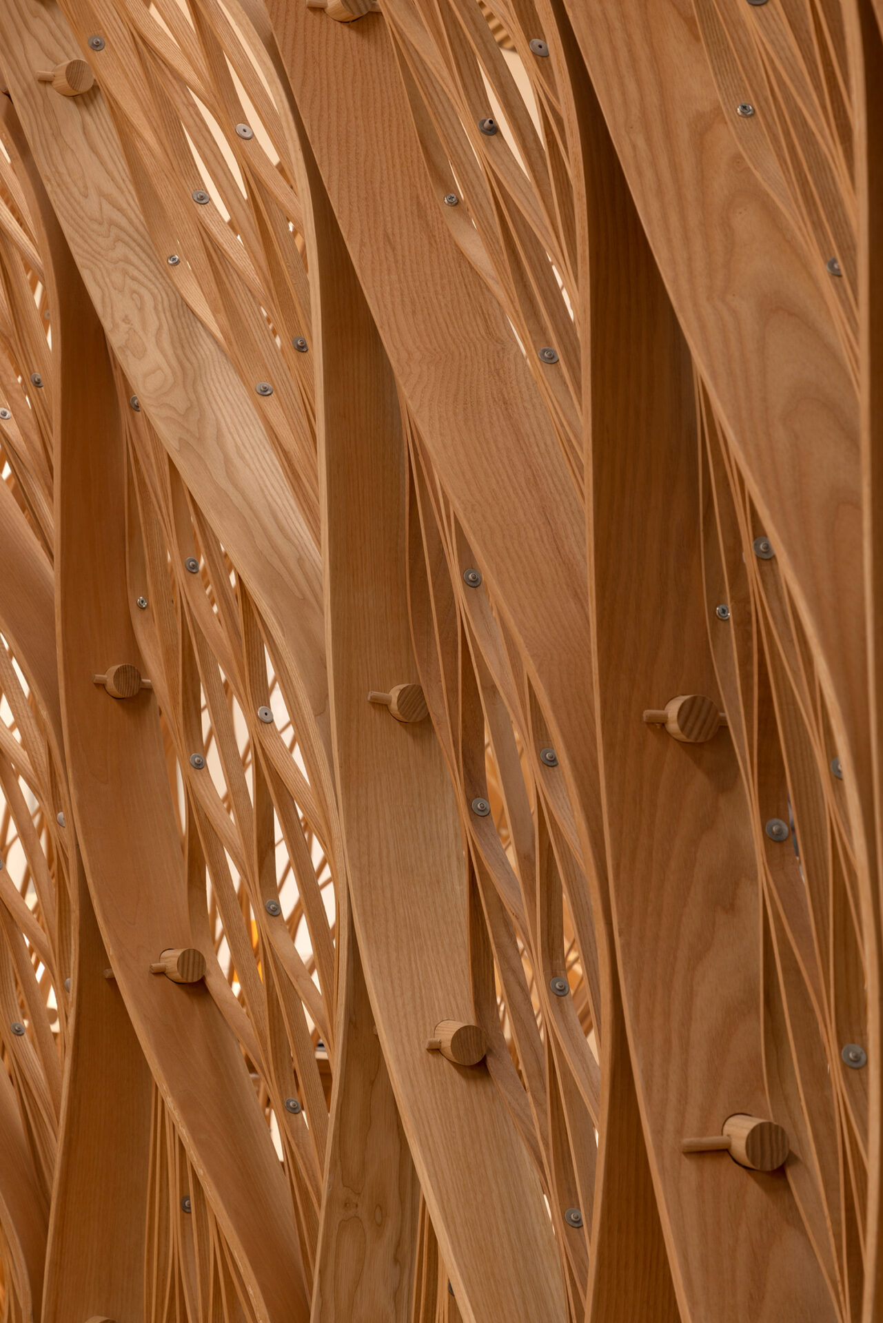Cabanas Orange HQ, cocons biophiliques en bois cintré — Mamou-Mani